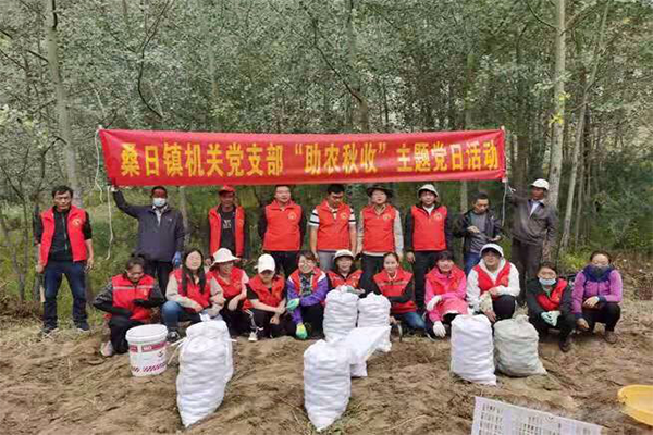 33d30637967f45baa08d388eeff02e1a.png 111.png