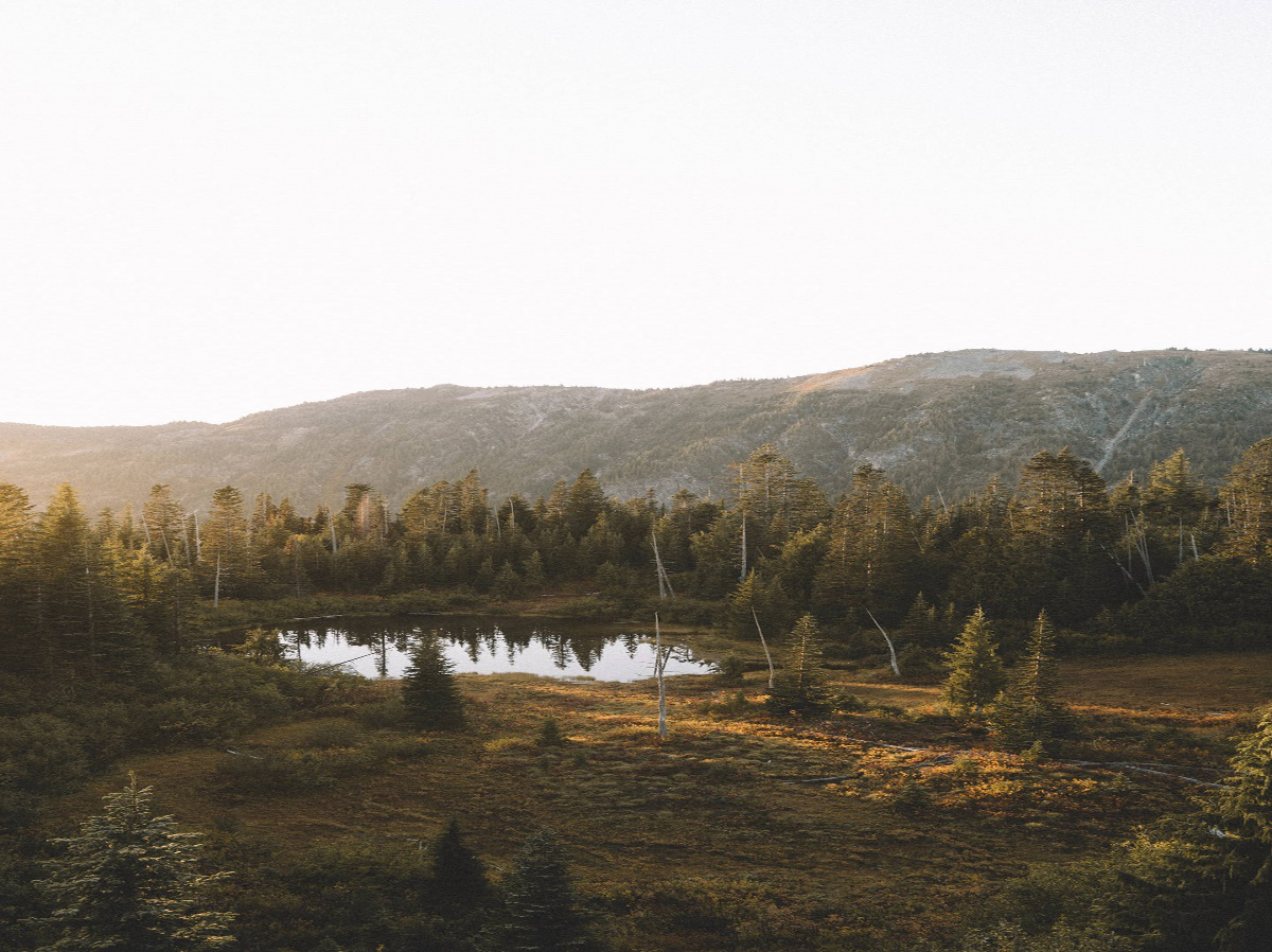 1528945810135268.png 图片1.png