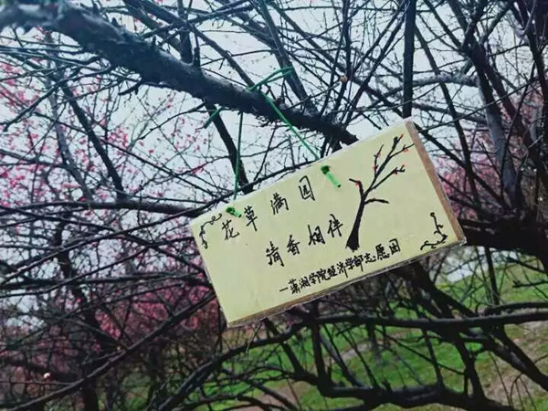 1552359141157162.jpg 22_副本.jpg